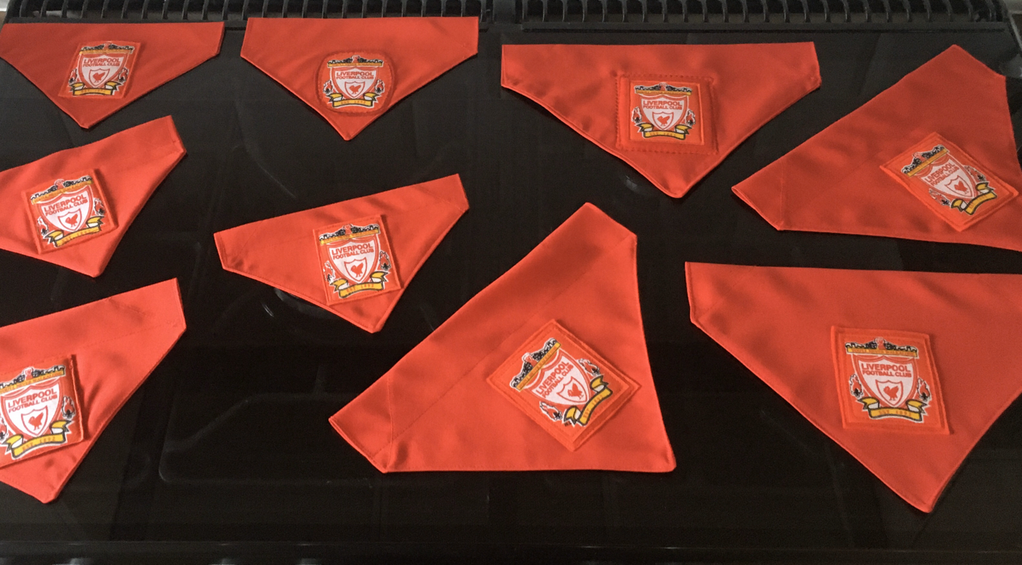 liverpool dog bandana