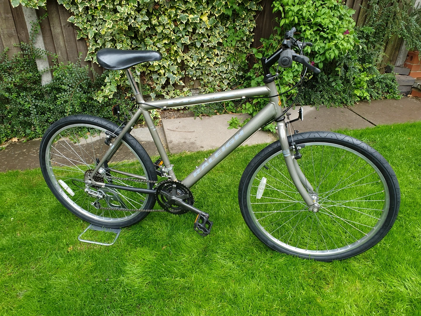 Raleigh max top mountain bike