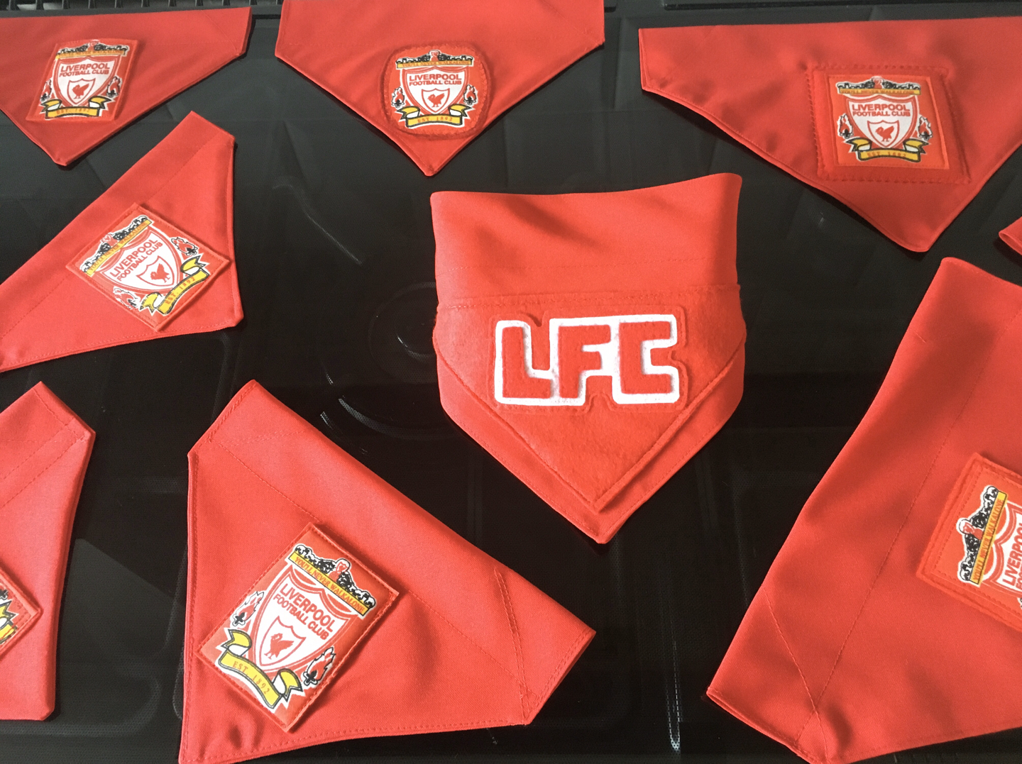 liverpool dog bandana