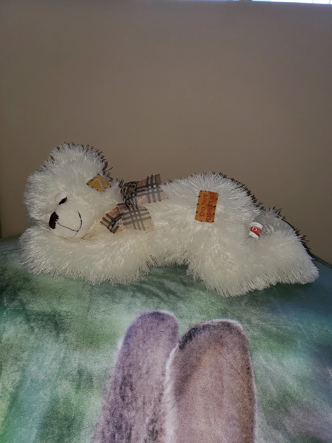 Soft toys & Stuffed animals, 50cm tedy bear, like new Karrot