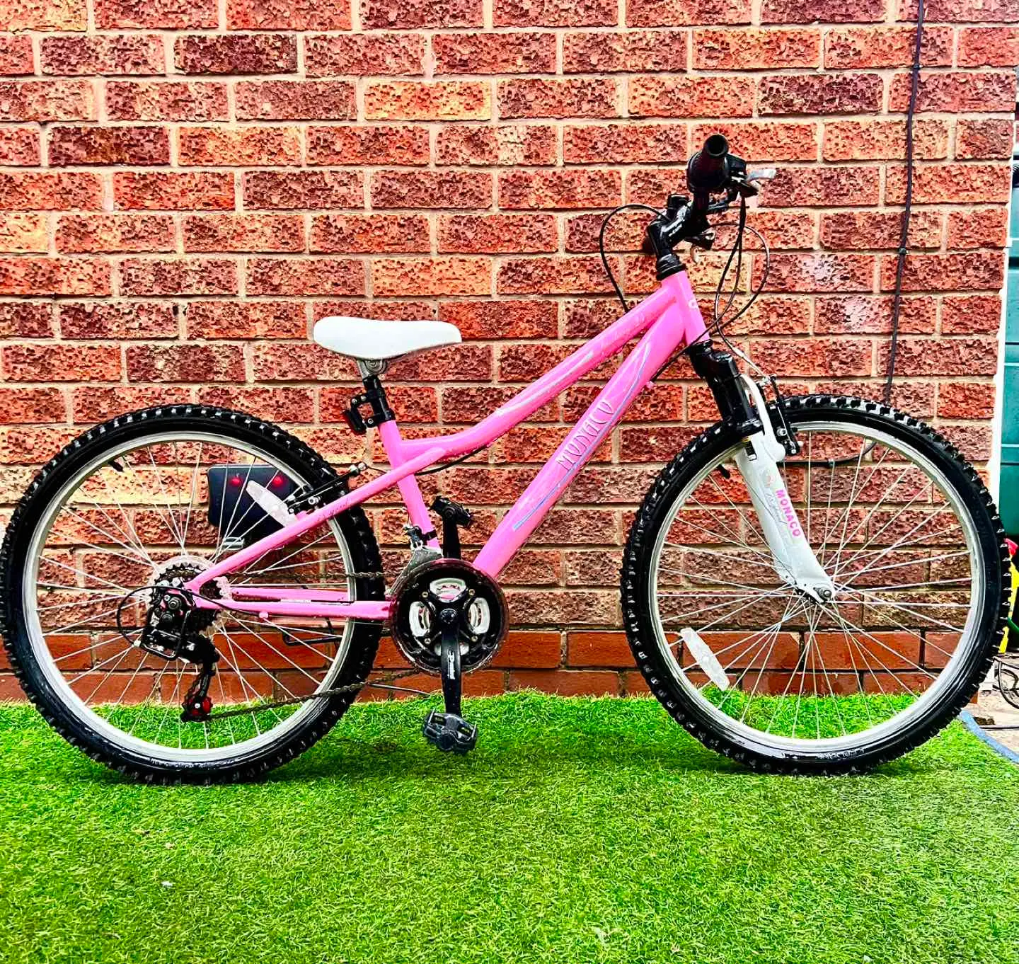 Mountain Bike Smyths Girls Bikes 20 Inch Team Mountain Bike Mint