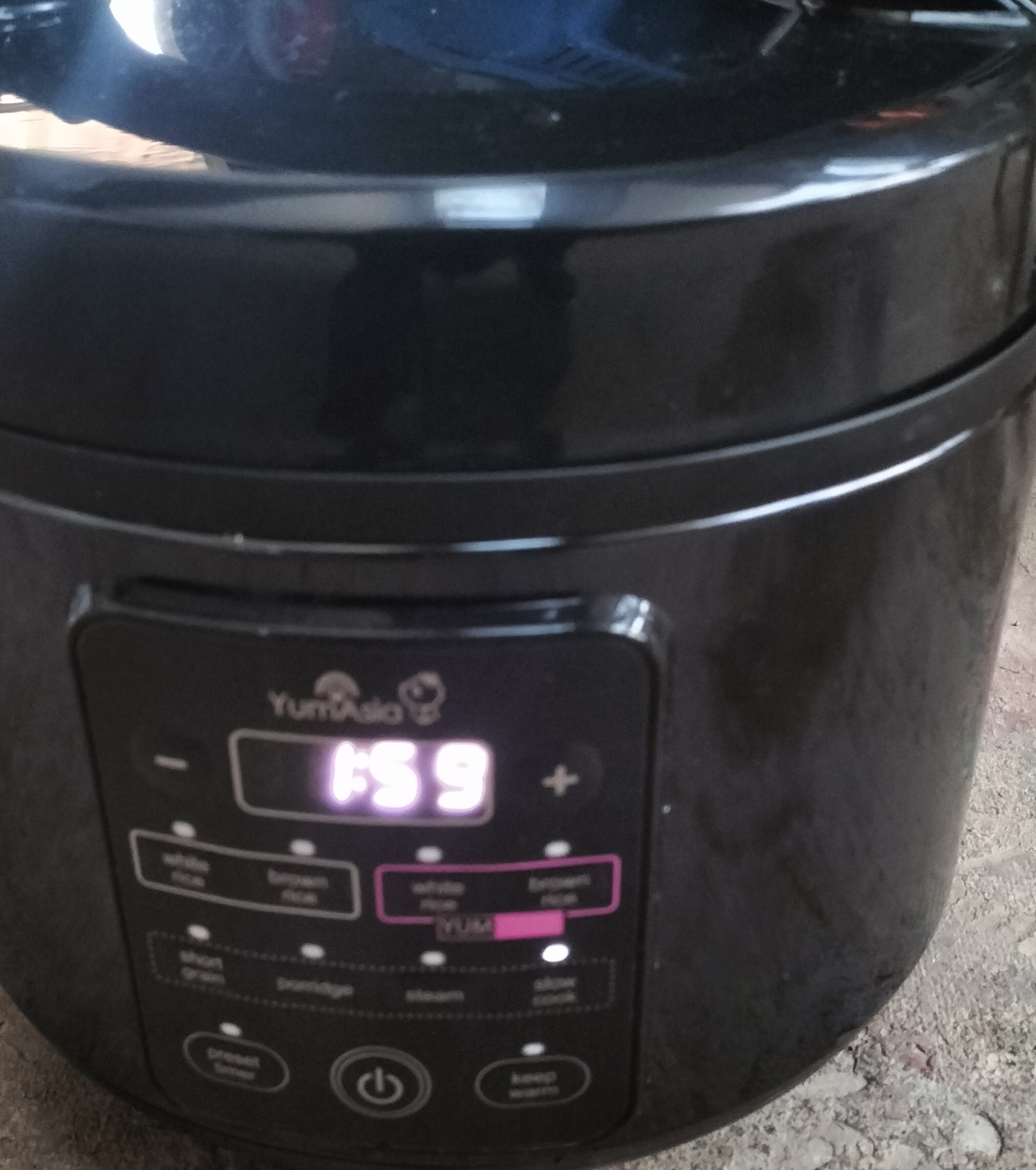Yum asia kumo multifunction yum carb rice cooker Karrot