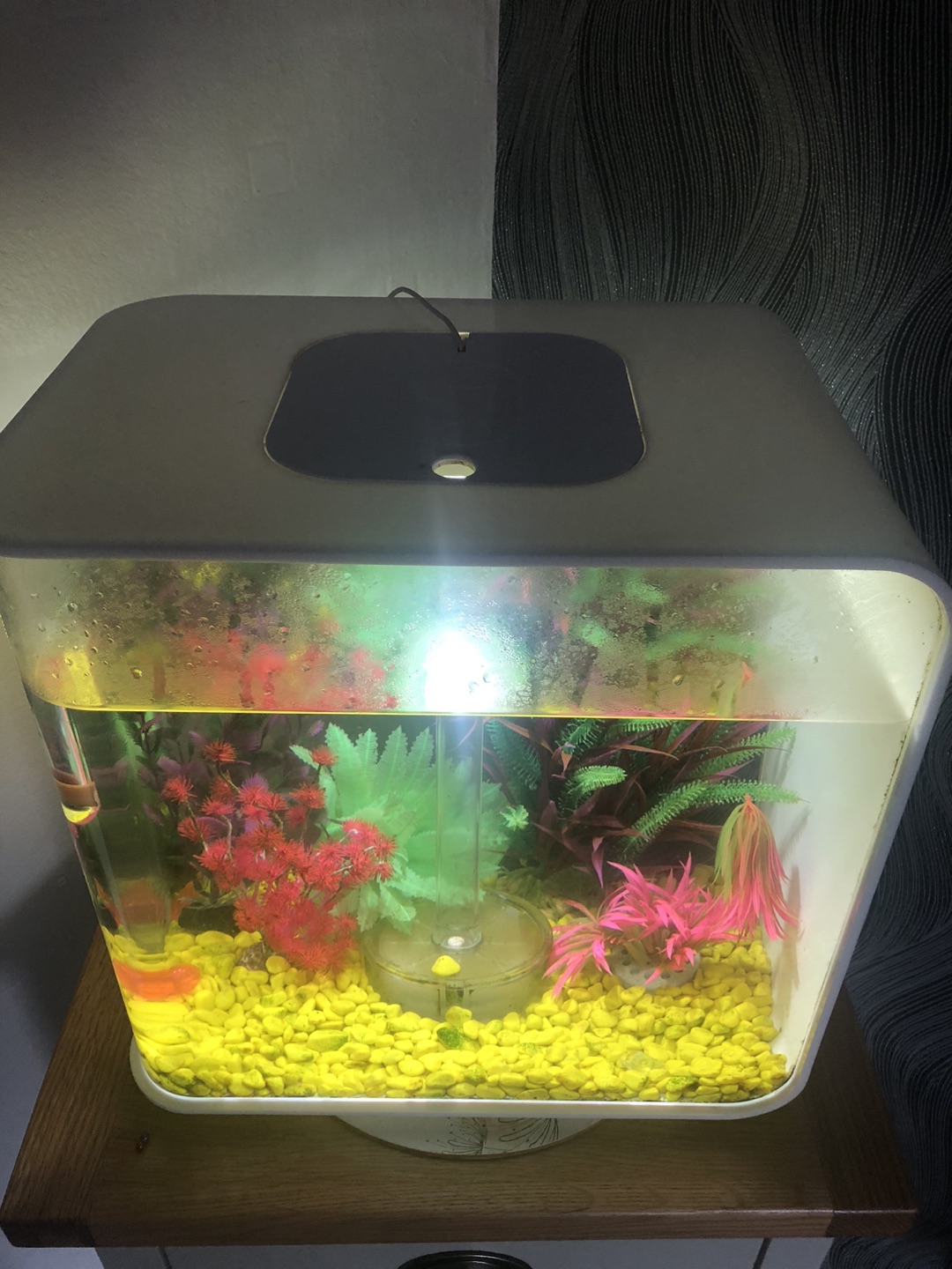 Biorb fish tank 30 litre Karrot